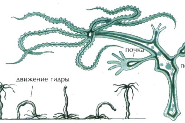 Kraken что это за сайт