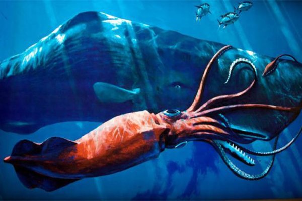 Kraken darknet market ссылка
