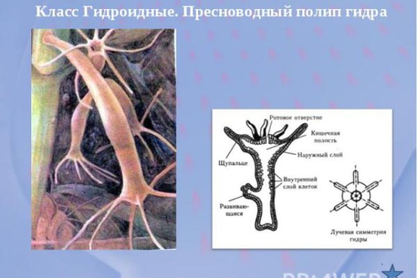 Как зайти на кракен тор