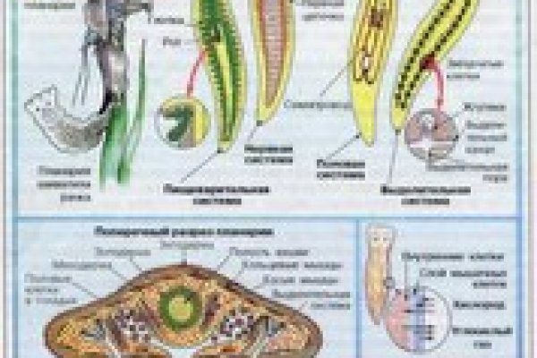 Как вывести с кракена